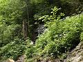 AUS04062009 (56)